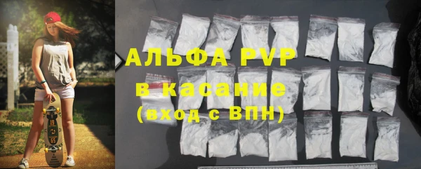 индика Алзамай