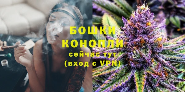 PSILOCYBIN Остров