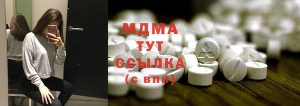 индика Алзамай