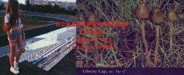 индика Алзамай