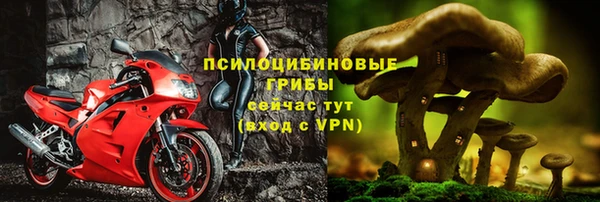 индика Алзамай