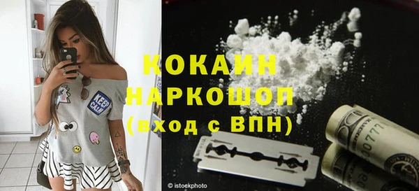индика Алзамай