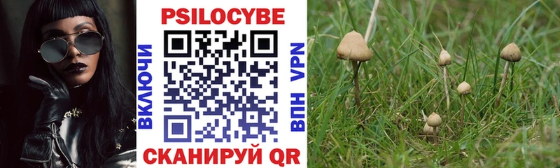 купить закладку  Чебоксары  Псилоцибиновые грибы Psilocybe 