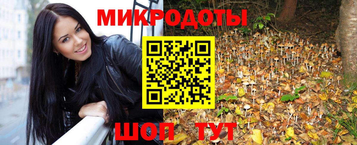Чебоксары  Галлюциногенные грибы MAGIC MUSHROOMS  Вход с VPN 